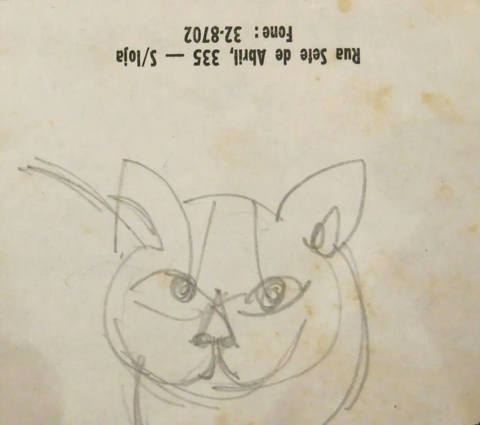 Gato