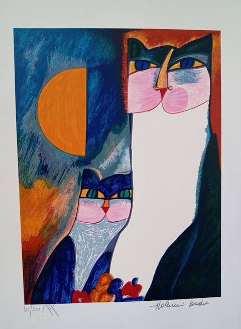 Casal de Gatos