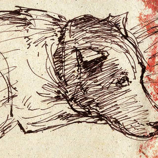 Nato Gomes - Cachorro Dormindo Sketch2