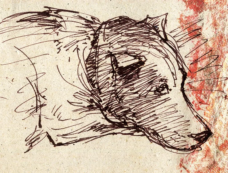 Nato Gomes - Cachorro Dormindo Sketch2