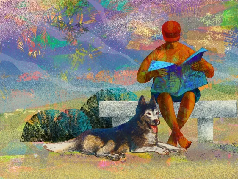 Domingo no Parque com Pet III