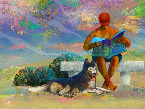 Domingo no Parque com Pet III