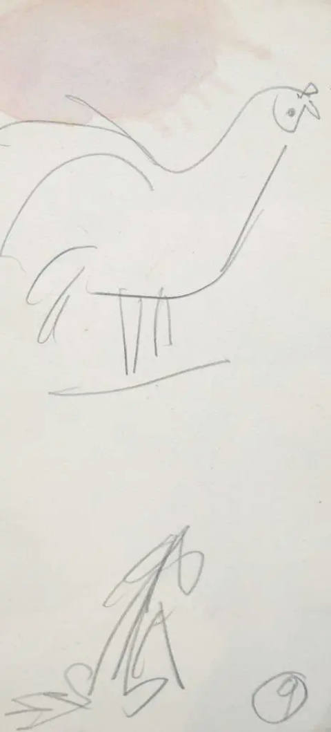 Desenhos
