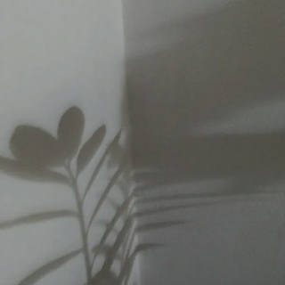 Nato Gomes - Dialogando com as Sombras IV
