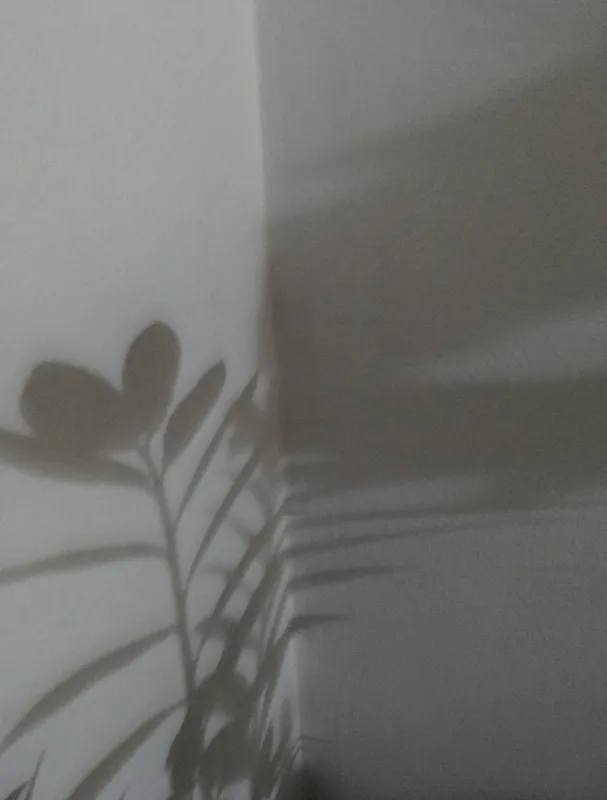 Dialogando com as Sombras IV