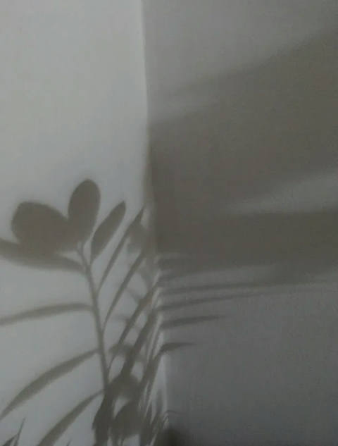 Dialogando com as Sombras IV