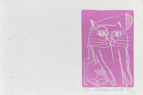 Gato