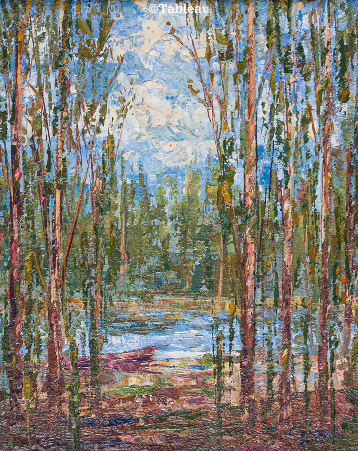 José Paulo Moreira da Fonseca - Árvores