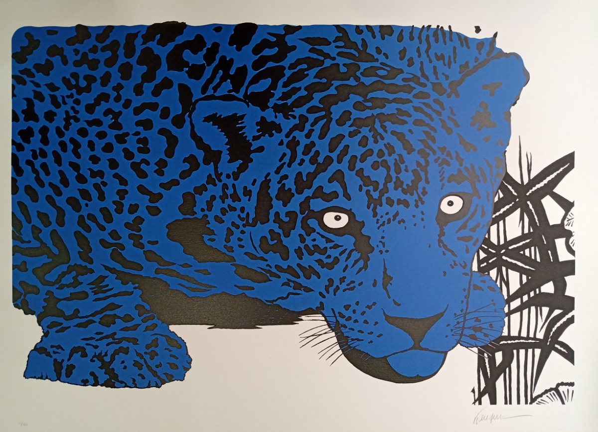 Kleber Ventura - Onça azul