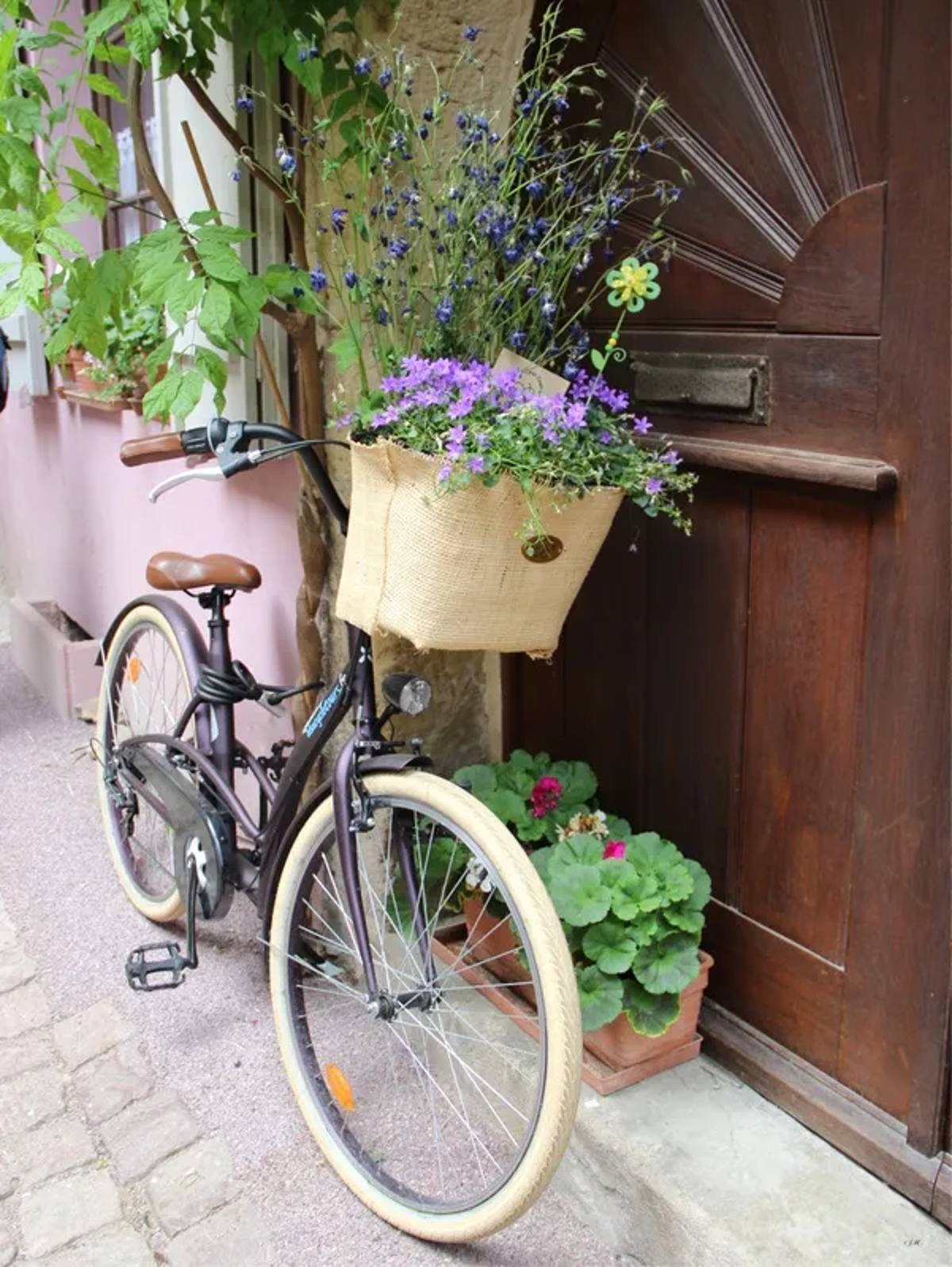 Bicicleta 02