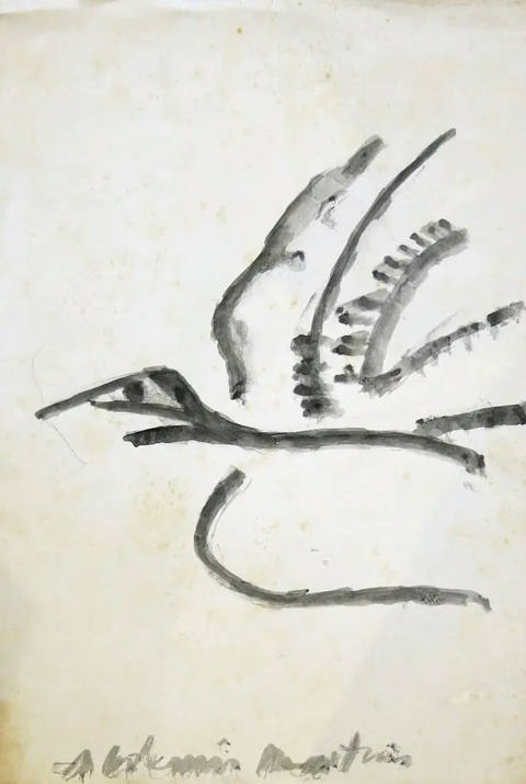 Pássaro
