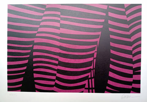 Composição pink