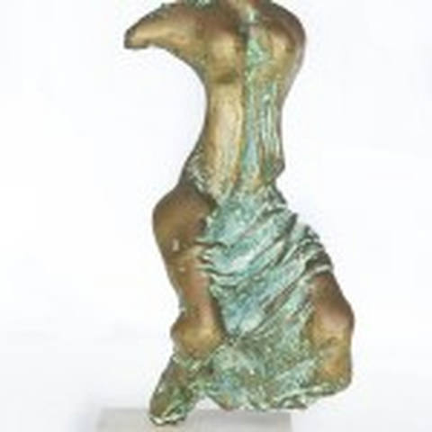 Torso Feminino