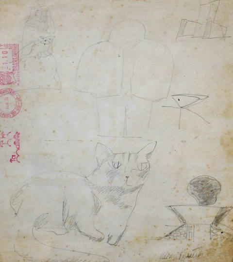 Gato