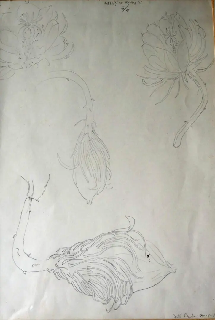 Aldemir Martins - Plantas Data -Dec. 60