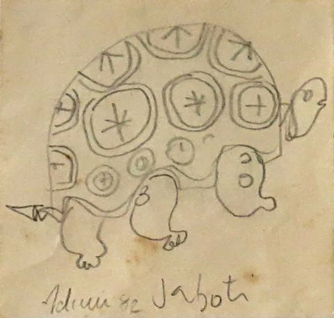 Jaboti