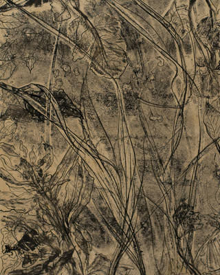 Athos Bulcão - Plantas