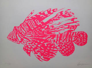 Kleber Ventura - Peixe Rosa