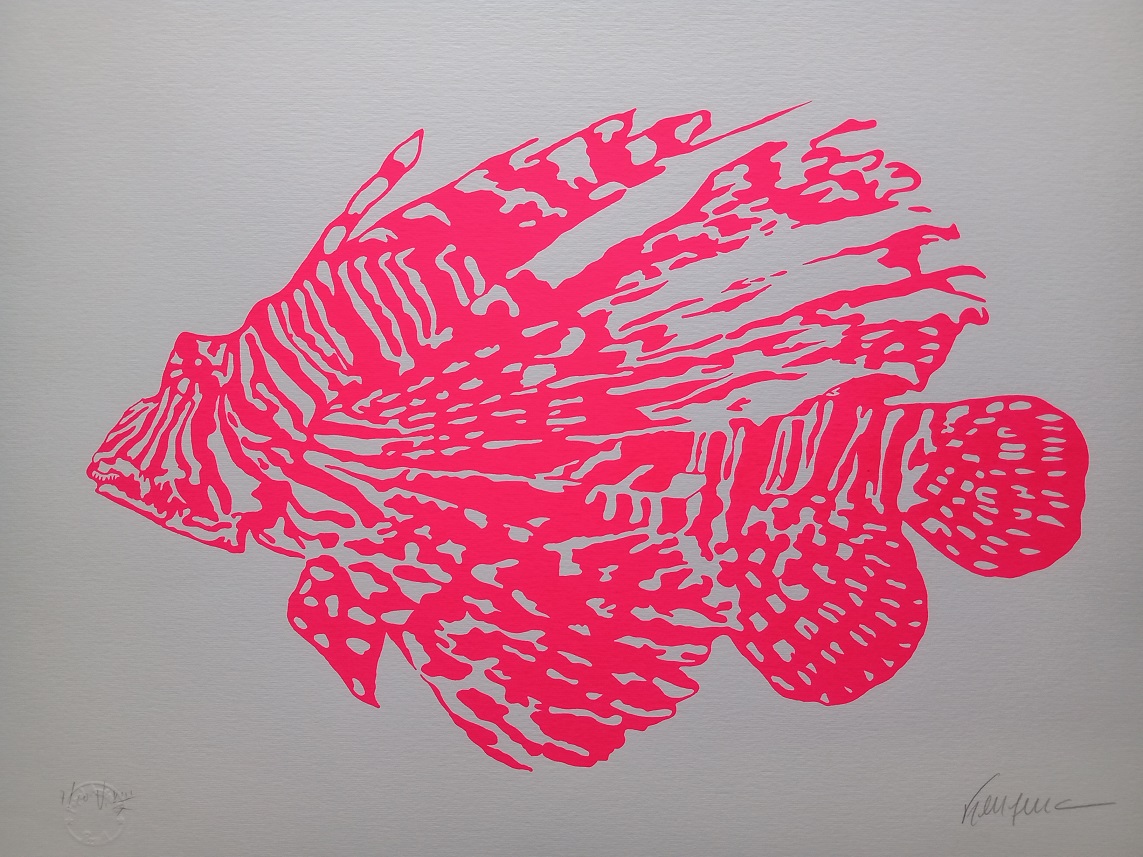 Kleber Ventura - Peixe Rosa