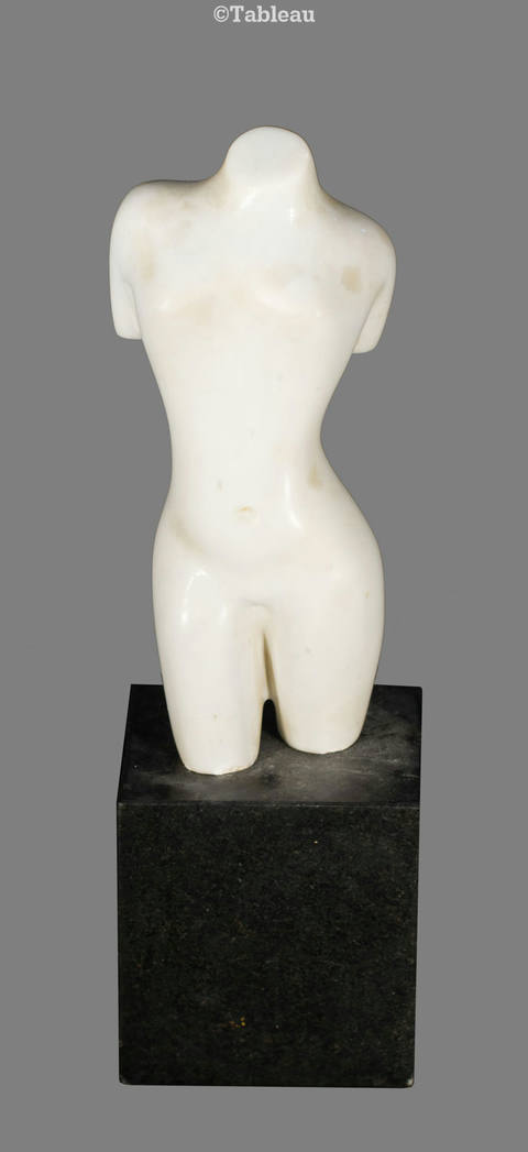 Torso