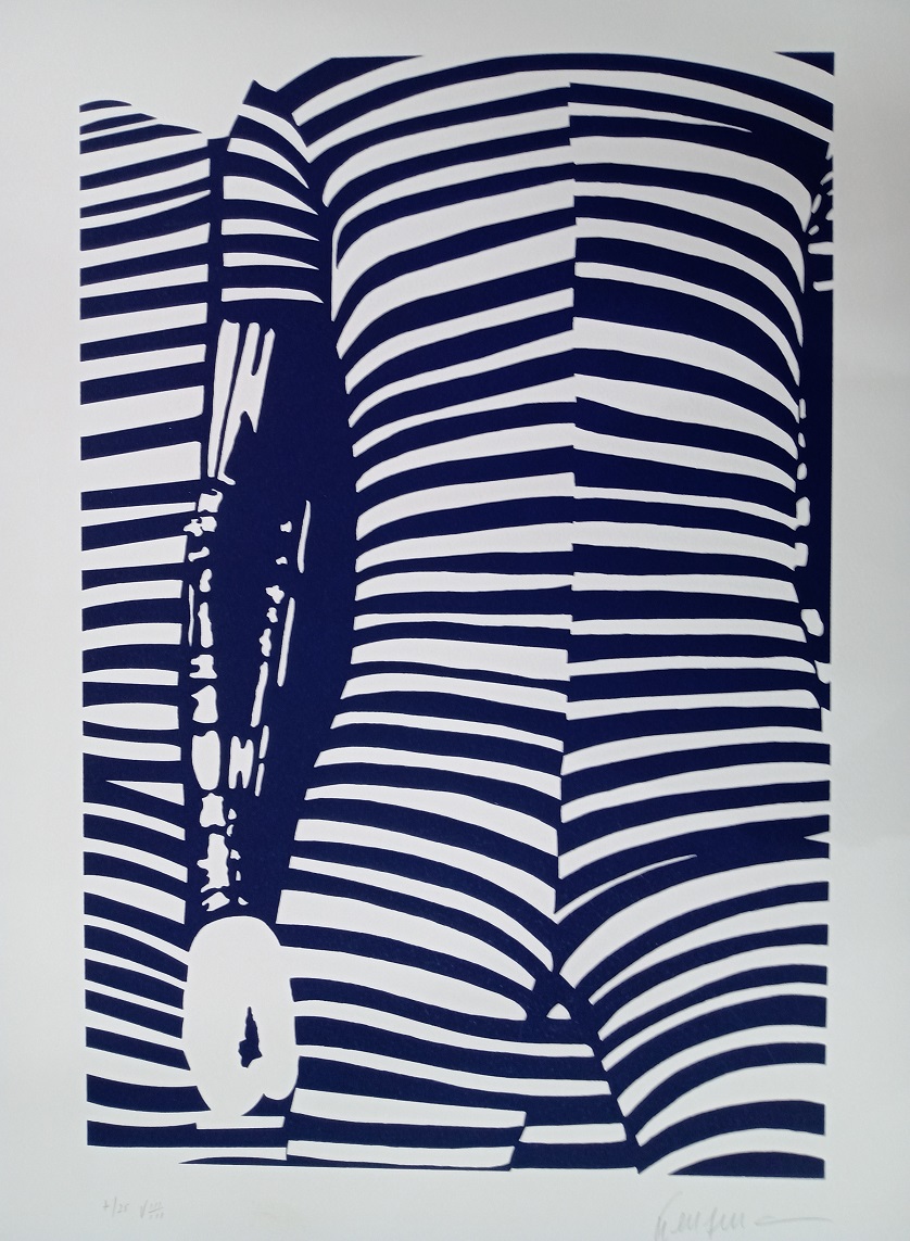 Kleber Ventura - Corpo azul