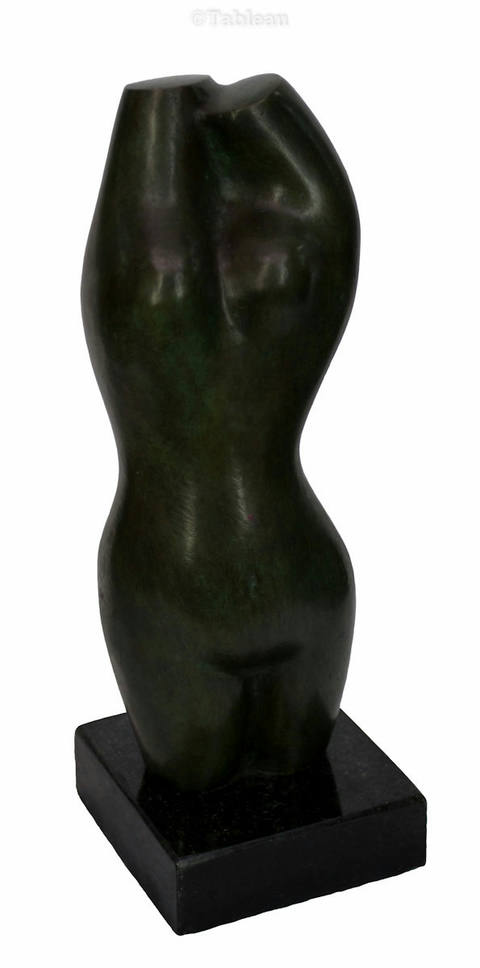 Torso