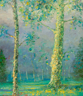 Manoel Santiago - Cascudas