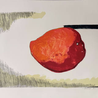 Aldemir Martins - Fruta