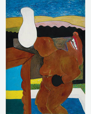 Cildo Meireles - Pugilista