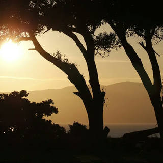 Stela Araujo & Marcos Wilke - Sm - Pôr do Sol 05