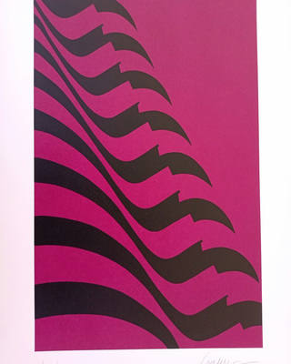 Kleber Ventura - Bandeira Pink