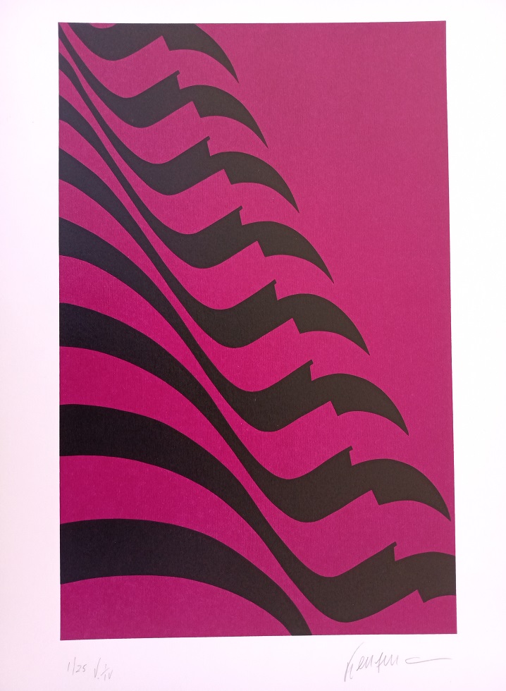 Bandeira Pink