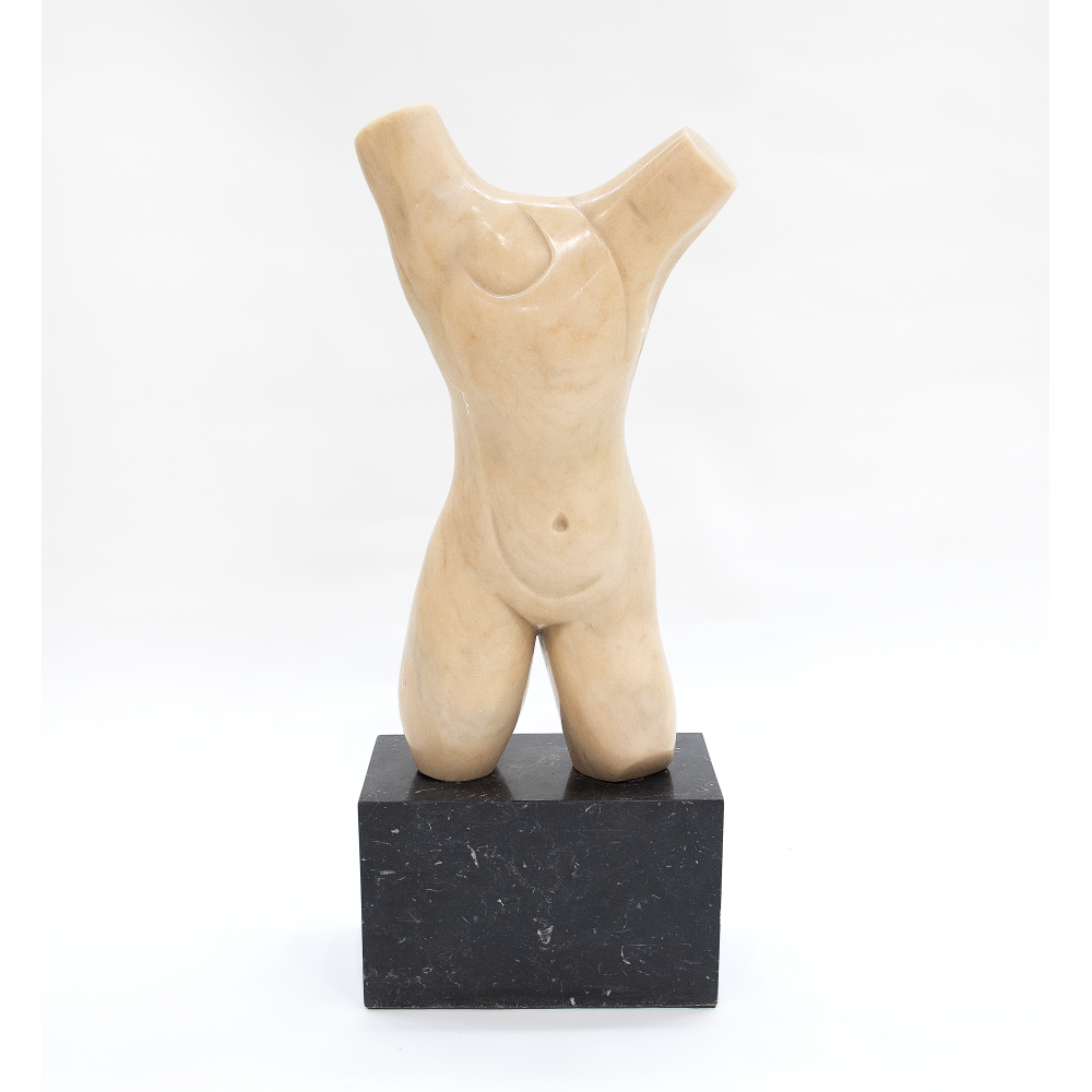 Torso