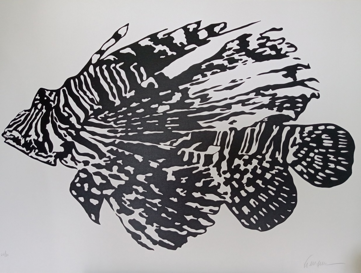 Kleber Ventura - Piranha