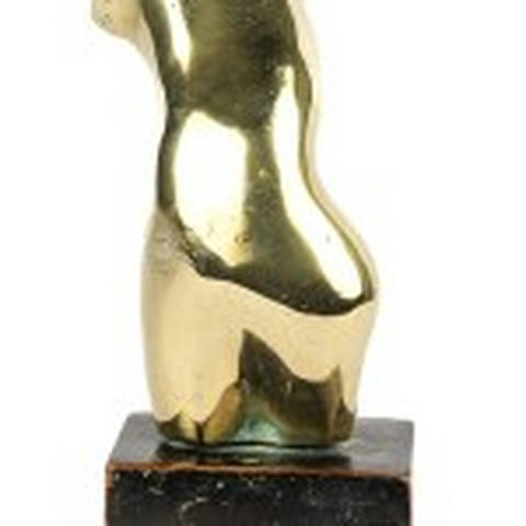 Pequeno Torso “Frenesi”
