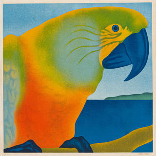 Claudio Tozzi - Papagaio