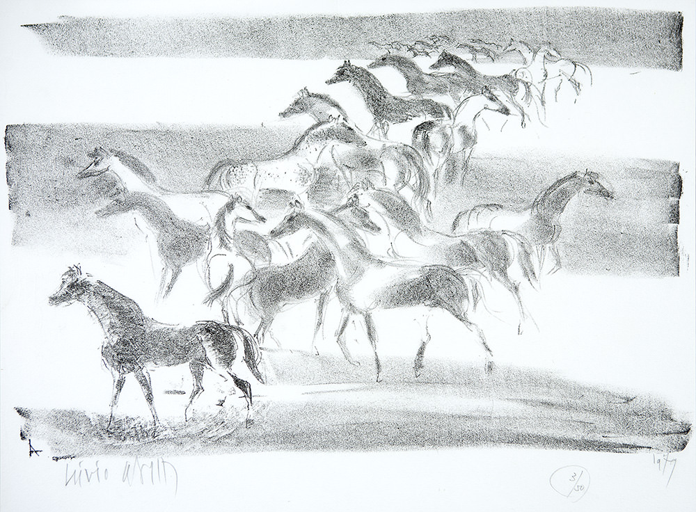 Cavalos