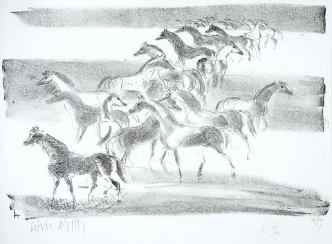 Cavalos