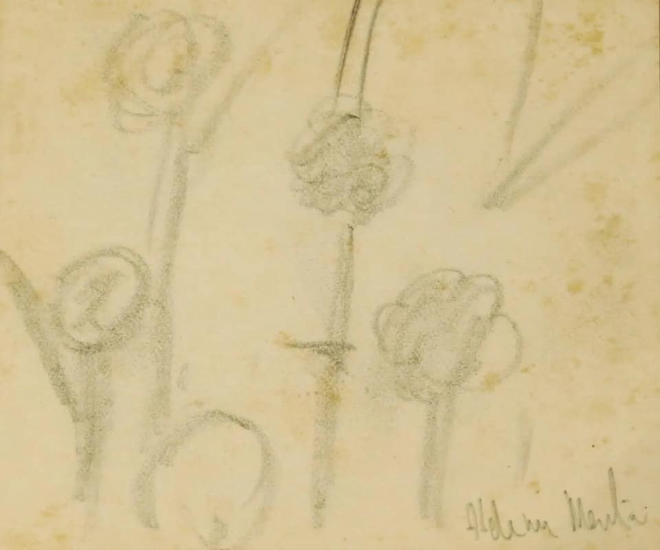 Aldemir Martins - Flores