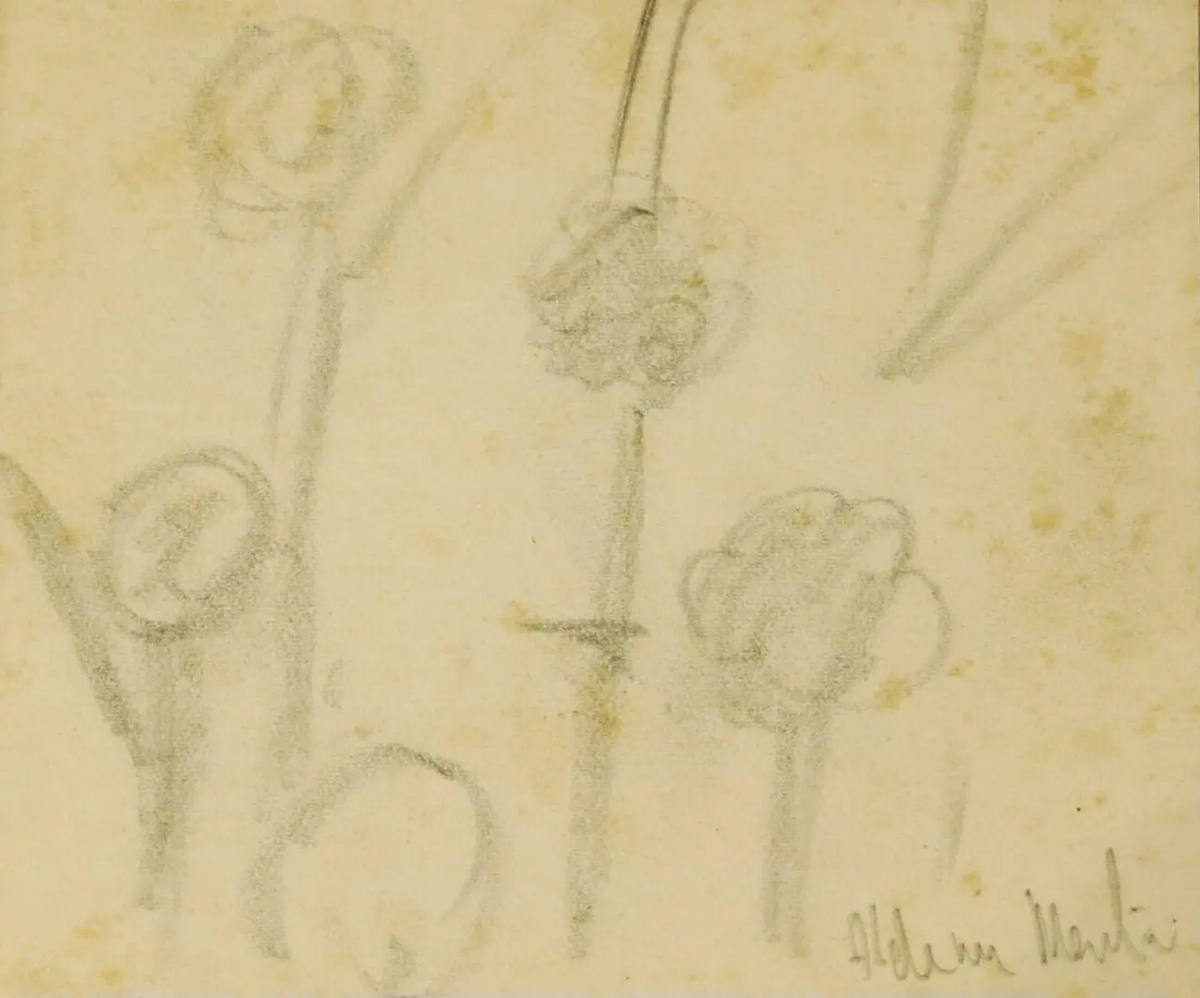 Flores