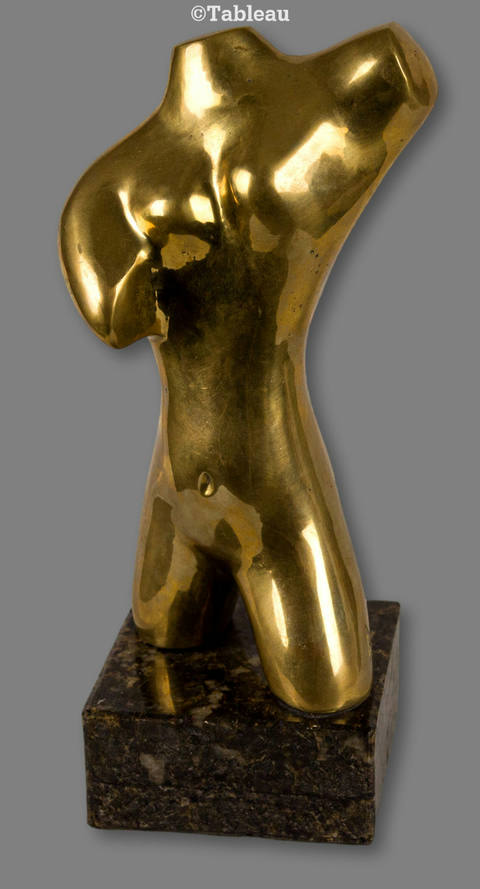 Torso