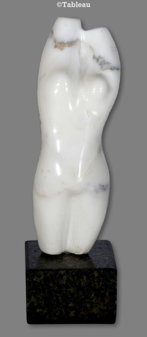 Torso