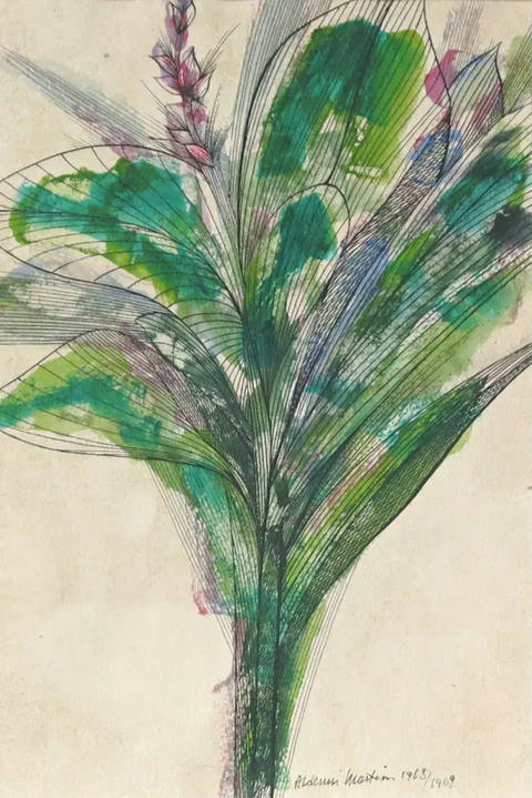 Flores