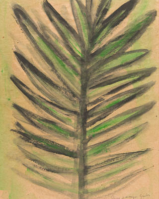 Roberto Burle Marx - Folhagem