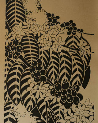 J. Carlos - Folhas e frutas