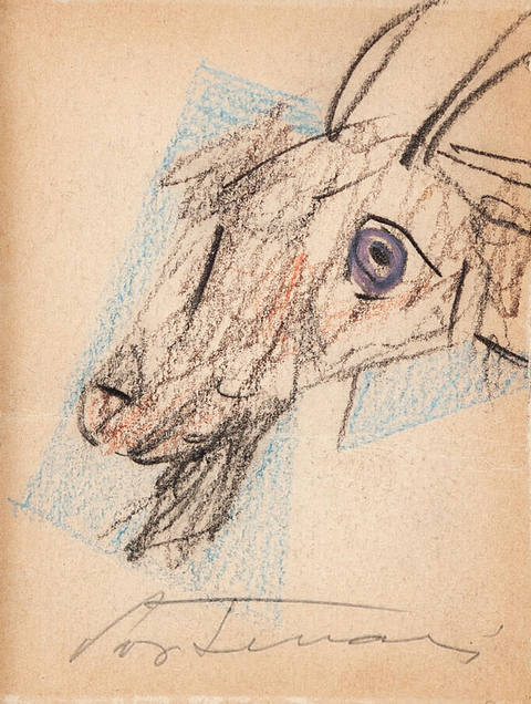 Cabeça de Cabrito