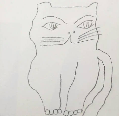 Gato