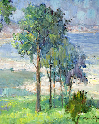 Manoel Santiago - Paisagem com Árvores