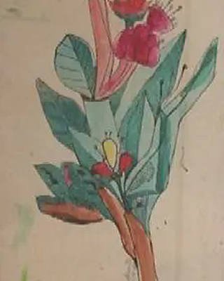 Aldemir Martins - Flores