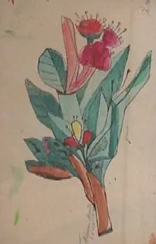 Flores